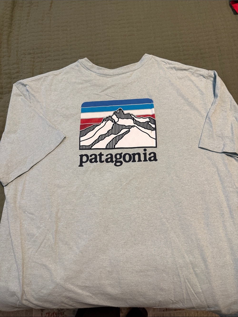 Patagonia Light Gray Short-Sleeve Tee with Blue and Red Mountain Graphic